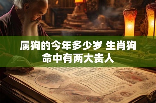 属狗的今年多少岁 生肖狗命中有两大贵人