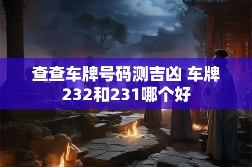 查查车牌号码测吉凶 车牌232和231哪个好