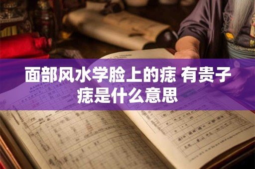 面部风水学脸上的痣 有贵子痣是什么意思