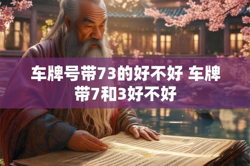 详细阅读:车牌号带73的好不好 车牌带7和3好不好 车牌号带73的好不好 车牌带7和3好不好