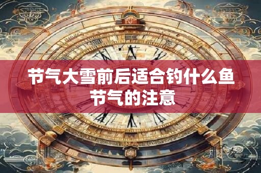 节气大雪前后适合钓什么鱼 节气的注意