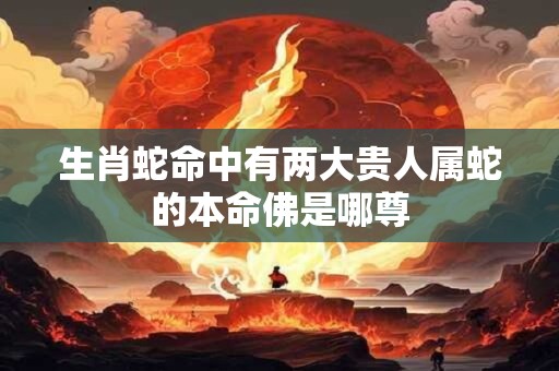 生肖蛇命中有两大贵人属蛇的本命佛是哪尊