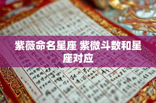 详细阅读:紫薇命名星座 紫微斗数和星座对应 紫薇命名星座 紫微斗数和星座对应