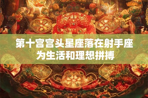 第十宫宫头星座落在射手座 为生活和理想拼搏