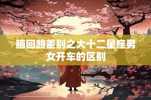 脑回路差别之大十二星座男女开车的区别