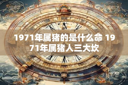 1971年属猪的是什么命 1971年属猪人三大坎