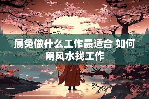 属兔做什么工作最适合 如何用风水找工作