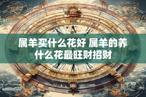 属羊买什么花好 属羊的养什么花最旺财招财