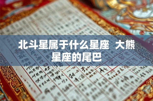 北斗星属于什么星座  大熊星座的尾巴