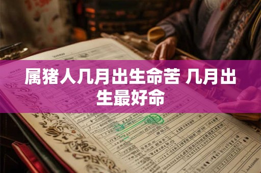 属猪人几月出生命苦 几月出生最好命