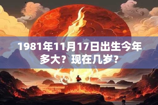 1981年11月17日出生今年多大？现在几岁？