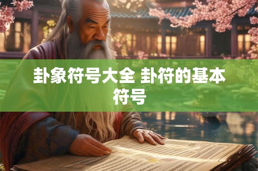 卦象符号大全 卦符的基本符号