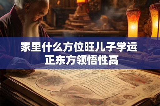 家里什么方位旺儿子学运  正东方领悟性高