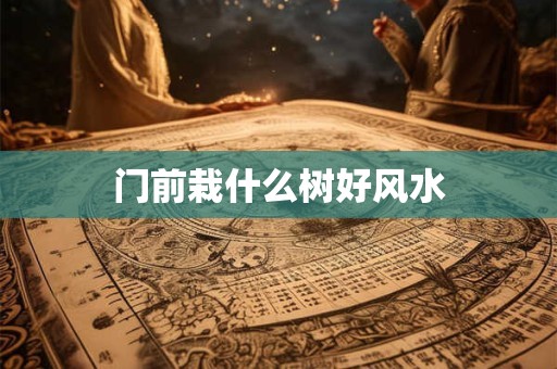 门前栽什么树好风水