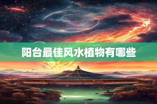 阳台最佳风水植物有哪些