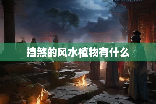 挡煞的风水植物有什么