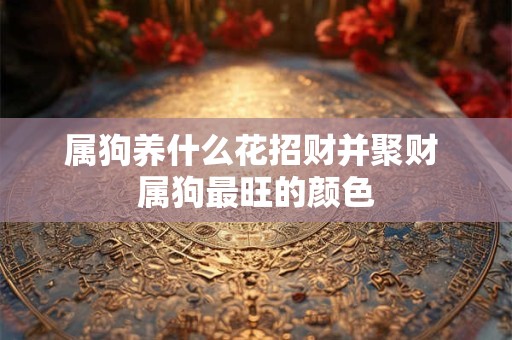 属狗养什么花招财并聚财 属狗最旺的颜色