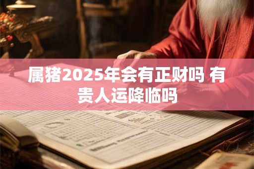 属猪2025年会有正财吗 有贵人运降临吗