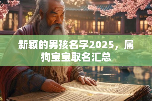 新颖的男孩名字2025，属狗宝宝取名汇总