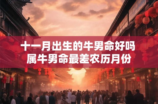 十一月出生的牛男命好吗 属牛男命最差农历月份