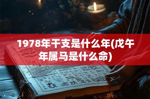 1978年干支是什么年(戊午年属马是什么命)