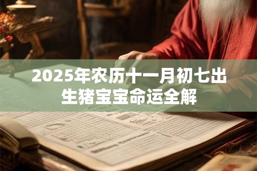 2025年农历十一月初七出生猪宝宝命运全解