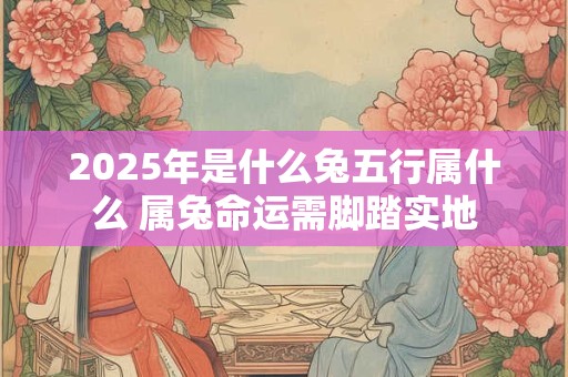 2025年是什么兔五行属什么 属兔命运需脚踏实地