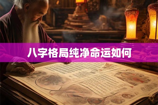八字格局纯净命运如何