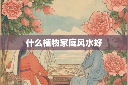什么植物家庭风水好