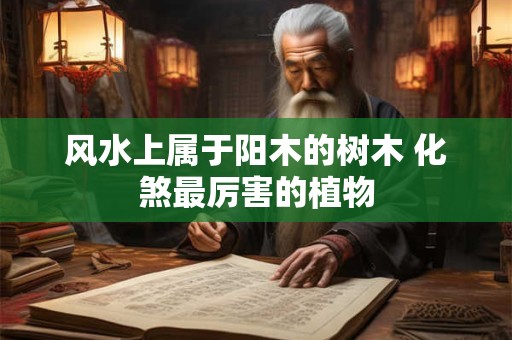 风水上属于阳木的树木 化煞最厉害的植物