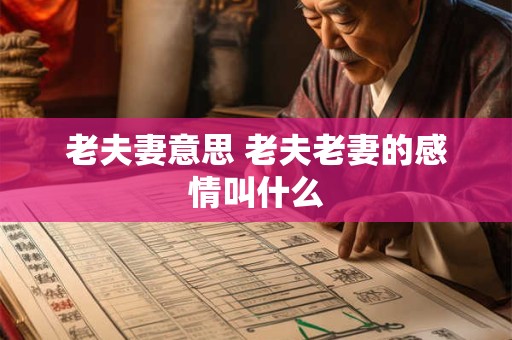 详细阅读:老夫妻意思 老夫老妻的感情叫什么 老夫妻意思 老夫老妻的感情叫什么