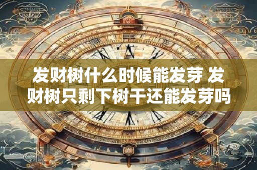 发财树什么时候能发芽 发财树只剩下树干还能发芽吗