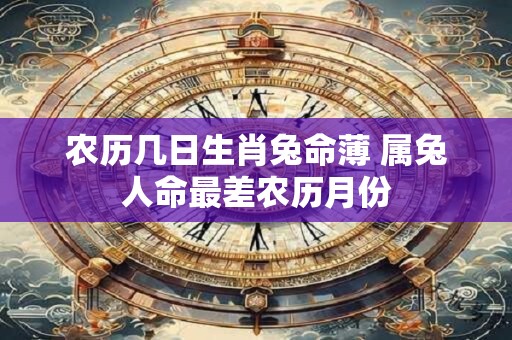 农历几日生肖兔命薄 属兔人命最差农历月份