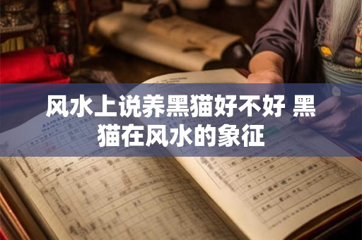 风水上说养黑猫好不好 黑猫在风水的象征