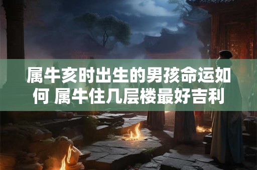 属牛亥时出生的男孩命运如何 属牛住几层楼最好吉利