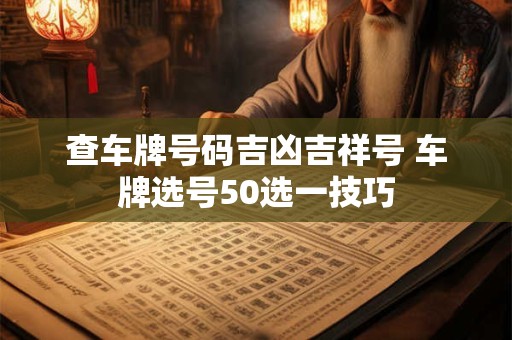 查车牌号码吉凶吉祥号 车牌选号50选一技巧