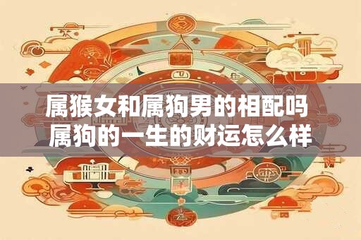 属猴女和属狗男的相配吗 属狗的一生的财运怎么样