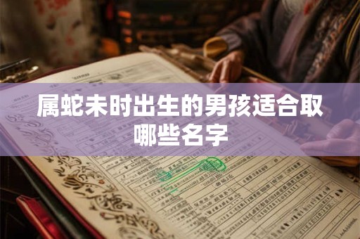 属蛇未时出生的男孩适合取哪些名字