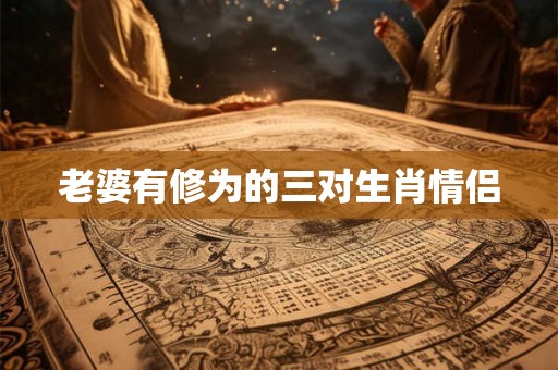 老婆有修为的三对生肖情侣