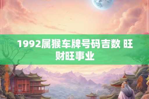 1992属猴车牌号码吉数 旺财旺事业