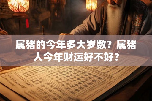 属猪的今年多大岁数？属猪人今年财运好不好？