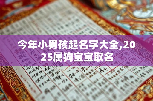今年小男孩起名字大全,2025属狗宝宝取名