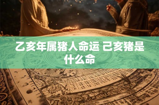 乙亥年属猪人命运 己亥猪是什么命