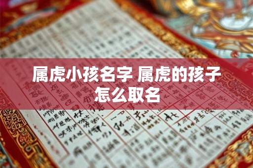 属虎小孩名字 属虎的孩子怎么取名
