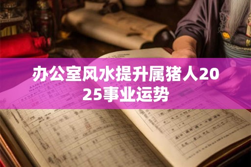办公室风水提升属猪人2025事业运势
