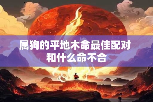 属狗的平地木命最佳配对 和什么命不合