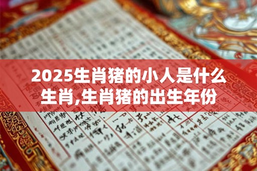 2025生肖猪的小人是什么生肖,生肖猪的出生年份