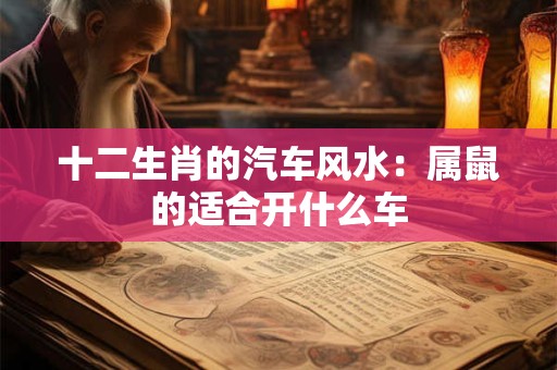 十二生肖的汽车风水：属鼠的适合开什么车