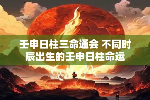 壬申日柱三命通会 不同时辰出生的壬申日柱命运