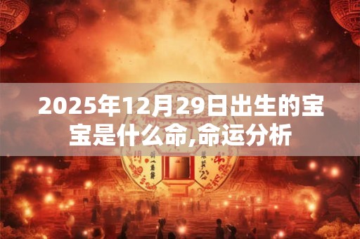 2025年12月29日出生的宝宝是什么命,命运分析